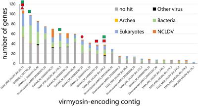 Discovery of Viral Myosin Genes With Complex Evolutionary History Within Plankton